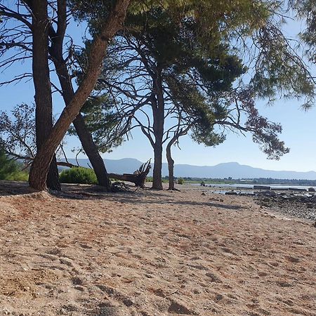 Penthouse Apartman Marcelina In Trogir Exterior photo